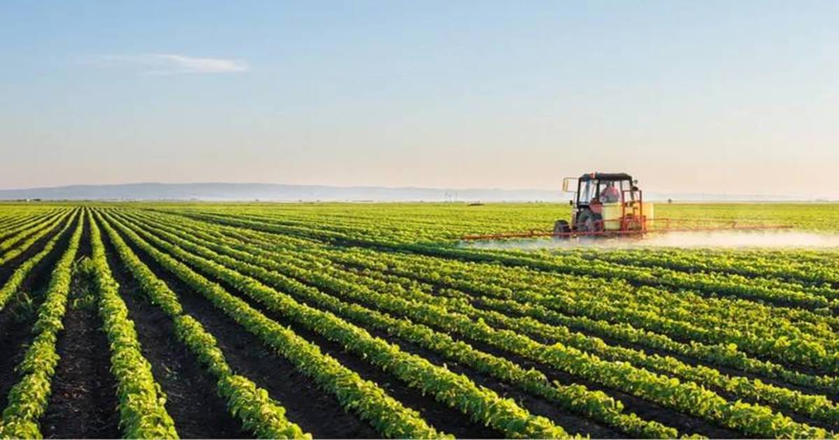 Reliable Professional Irrigation Services in Euless, TX Technicians