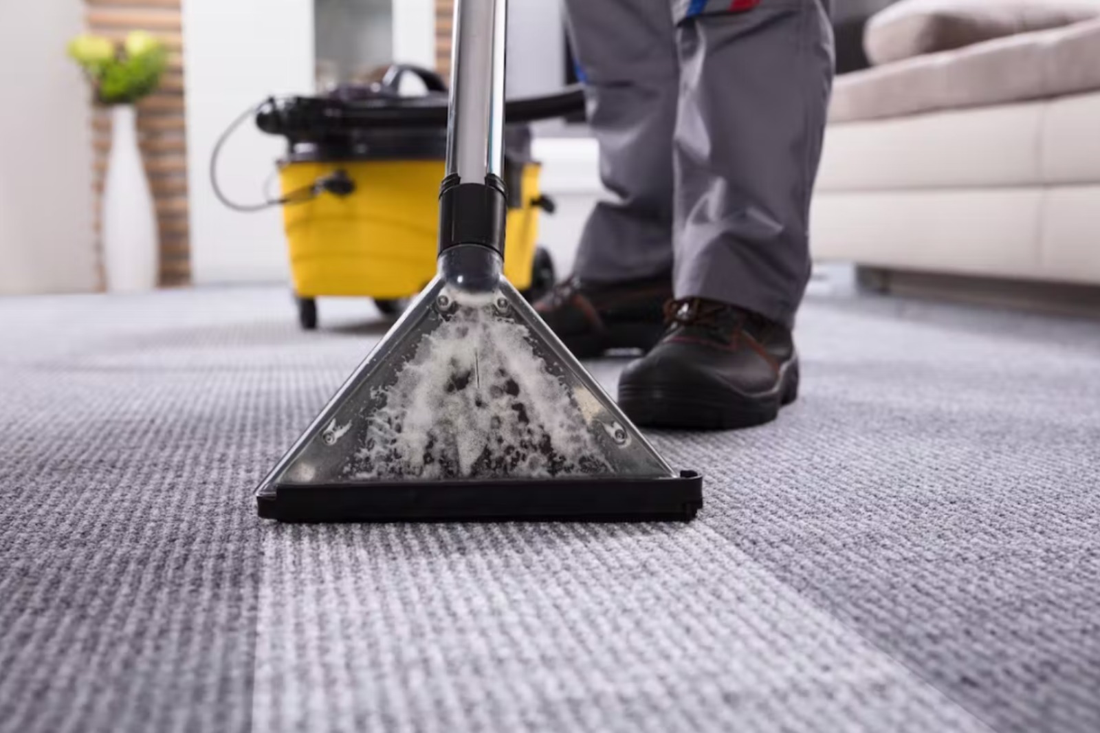 Affordable Carpet Cleaning Granite Bay CA Services | Guardian Carpet Cleaning