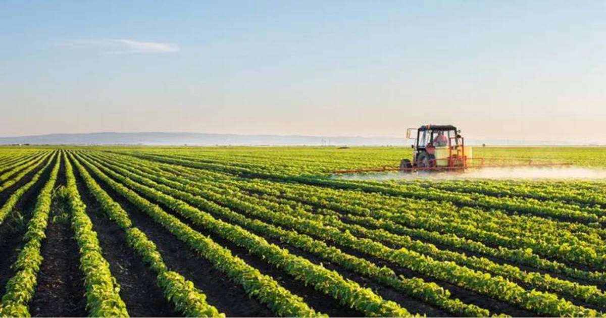 Reliable Professional Irrigation Services in Euless, TX Technicians
